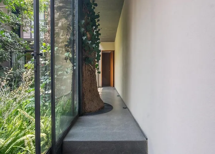 Livin Condesa 4*