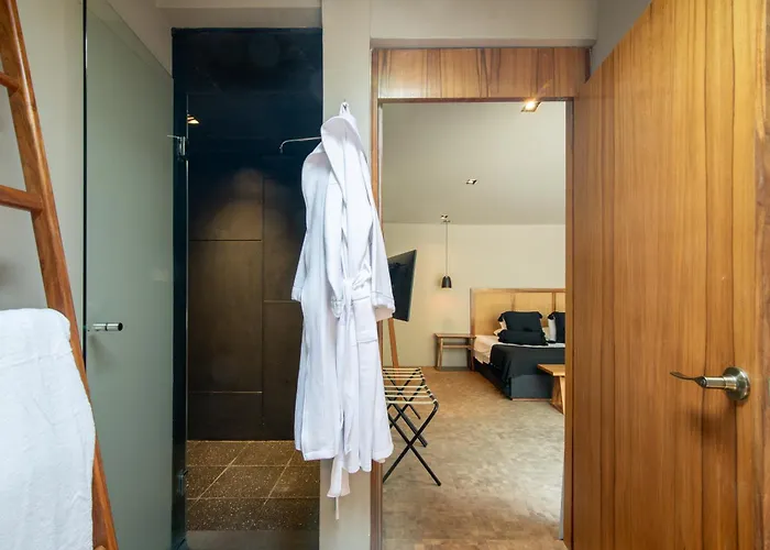 Livin Condesa Bed and breakfast 4*