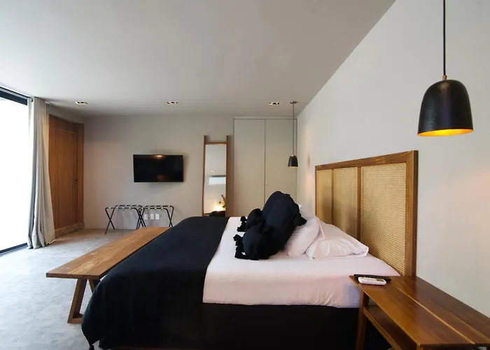 Livin Condesa Bed and breakfast